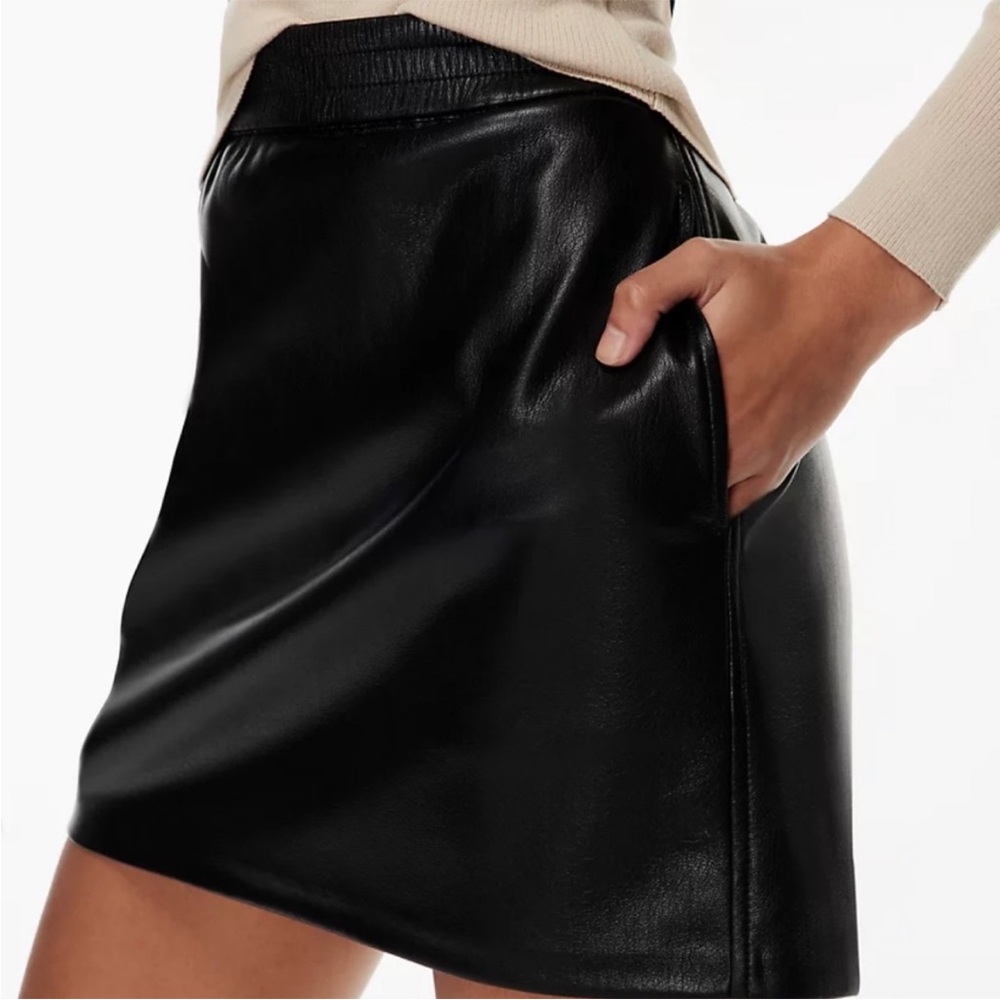 Babaton leather mini skirt from Aritzia.